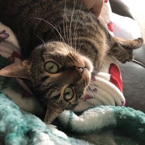 Meet your Posher, Erica